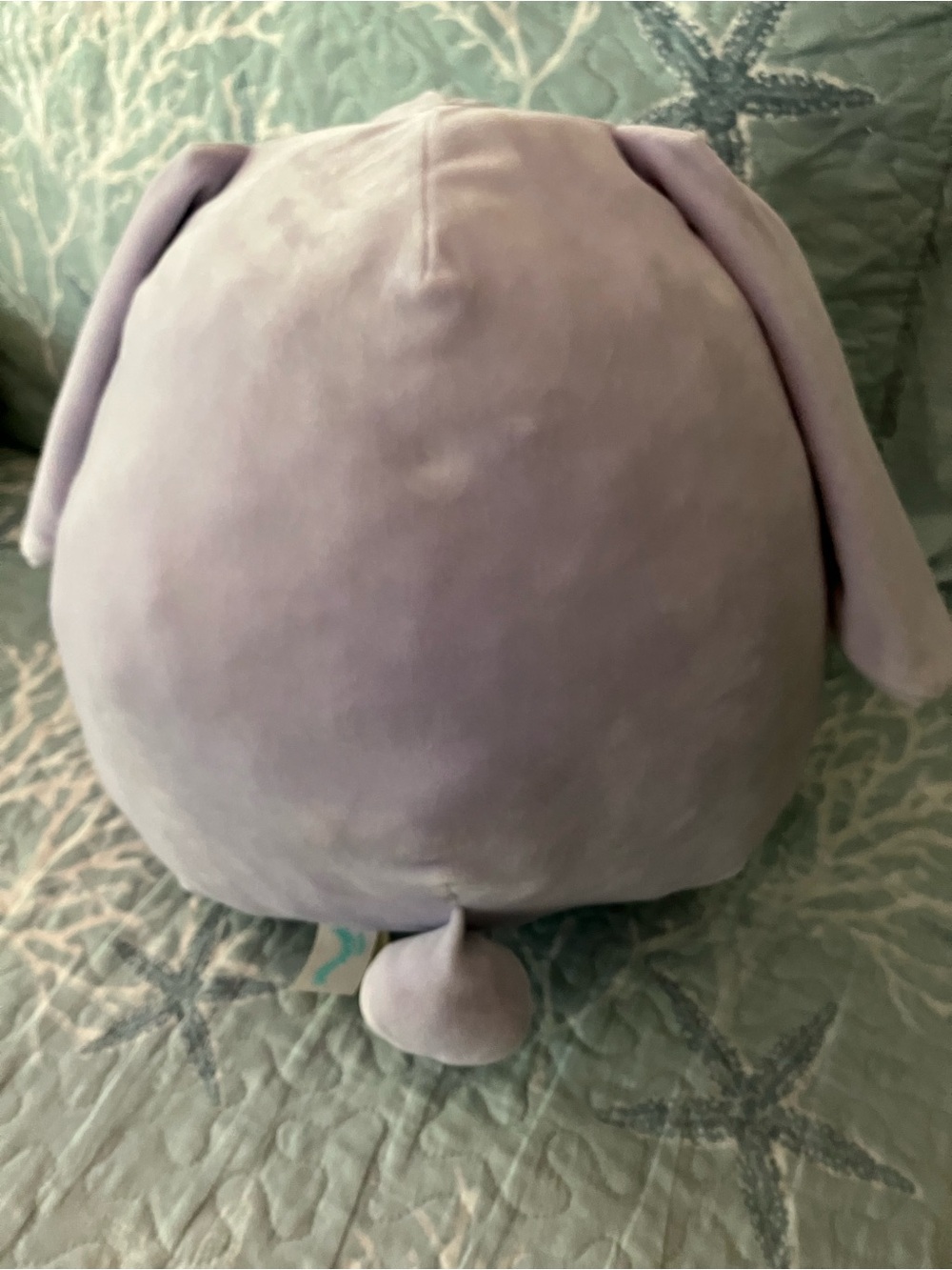 Squishmallows 20” size Rabbit - Picture 8 of 8